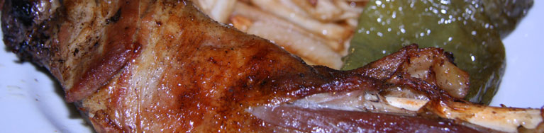 Banner Hospederia de Roda